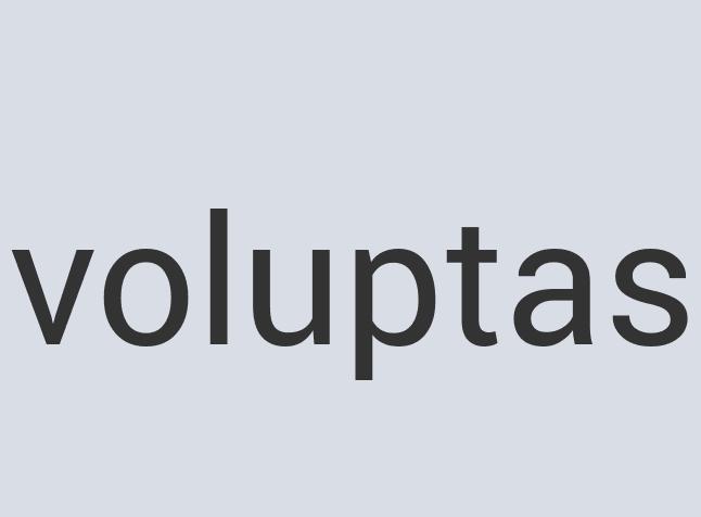 Intelligent Leather Tsunami Tsandwich