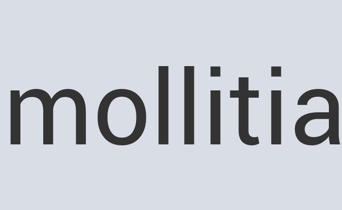 Gorgeous Copper JetSpeed